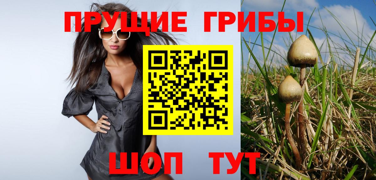 Большой Камень  Галлюциногенные грибы Psilocybe  Вход с VPN 