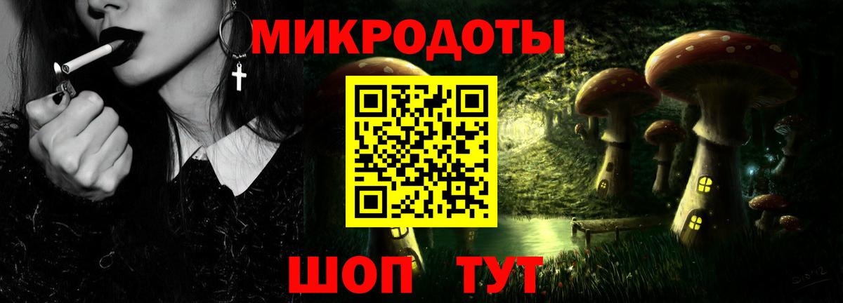Галлюциногенные грибы мицелий Большой Камень