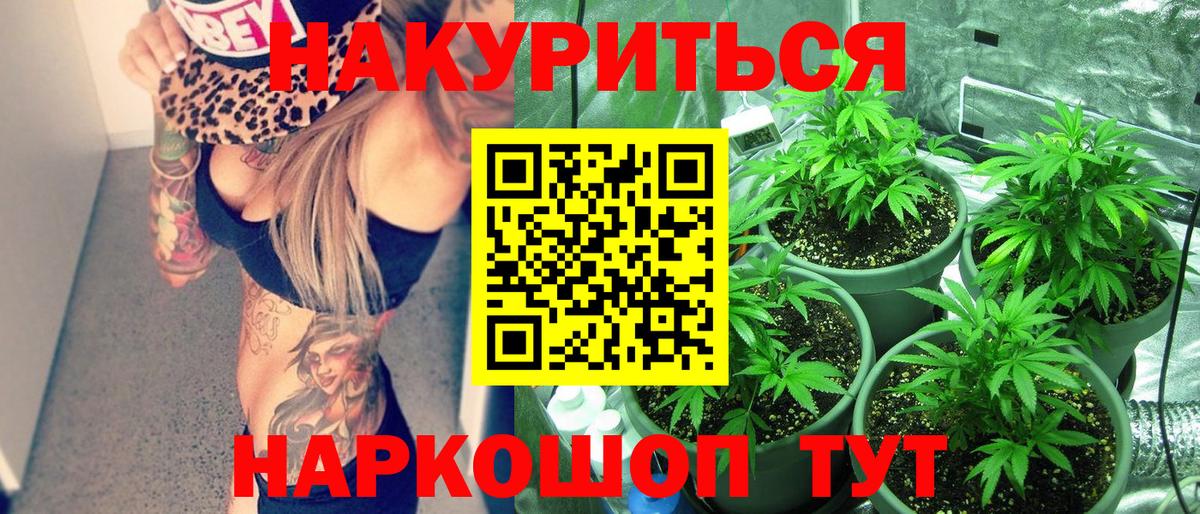 Бошки Шишки LSD WEED  Конопля марихуана  Шишки марихуана сатива  Каннабис планчик  Вход с VPN  Большой Камень 